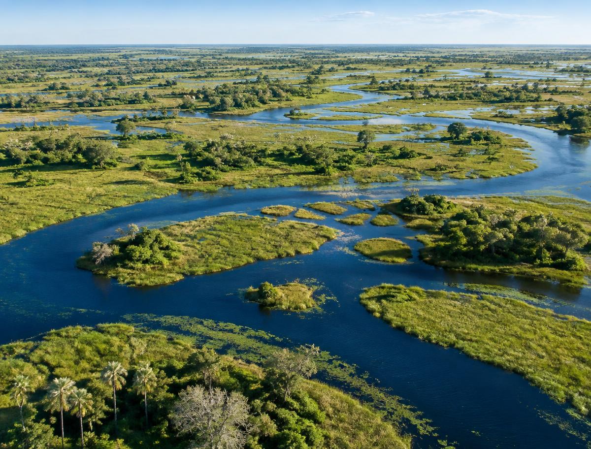 Winding water channels and green islands in Botswana's Okavango Delta